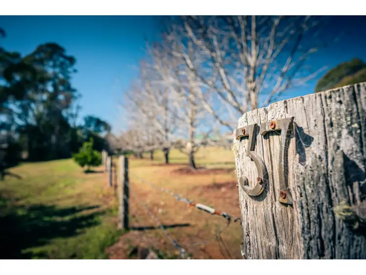 Third view of Homely house listing, 37 Hayden Street, Dorrigo NSW 2453