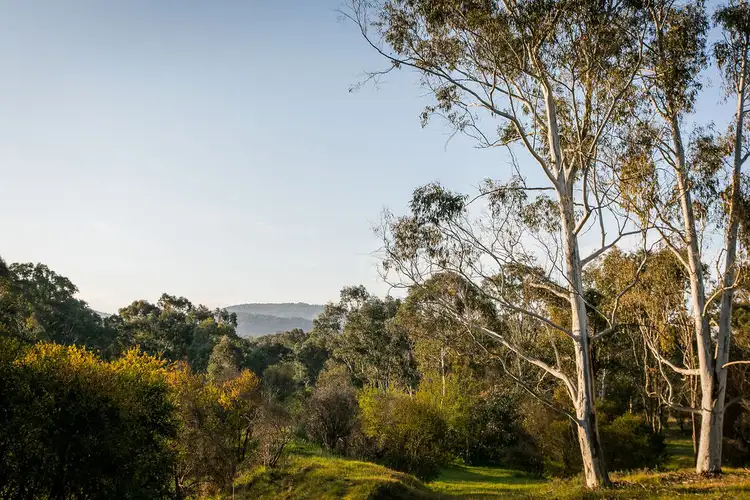 Third view of Homely rural property listing, 452 Racecourse Road, Osbornes Flat VIC 3691