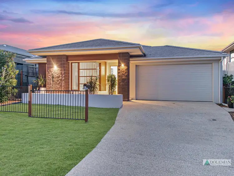 19 Ashburton Street, Ormeau Hills QLD 4208