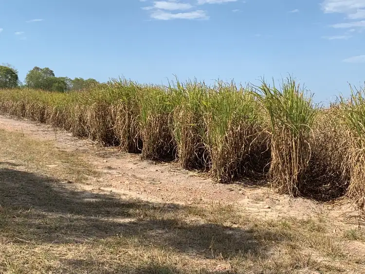 Second view of Homely rural property listing, Lot 3 and Lot 11 Bucca Crossing Road, Bucca QLD 4670