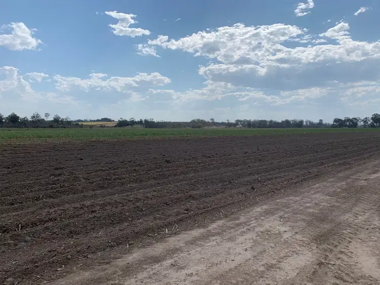 Fifth view of Homely rural property listing, Lot 3 and Lot 11 Bucca Crossing Road, Bucca QLD 4670