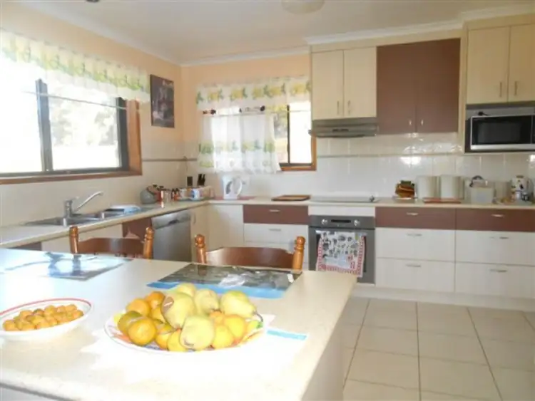 Seventh view of Homely house listing, 97 Ariadne Street, River Heads QLD 4655
