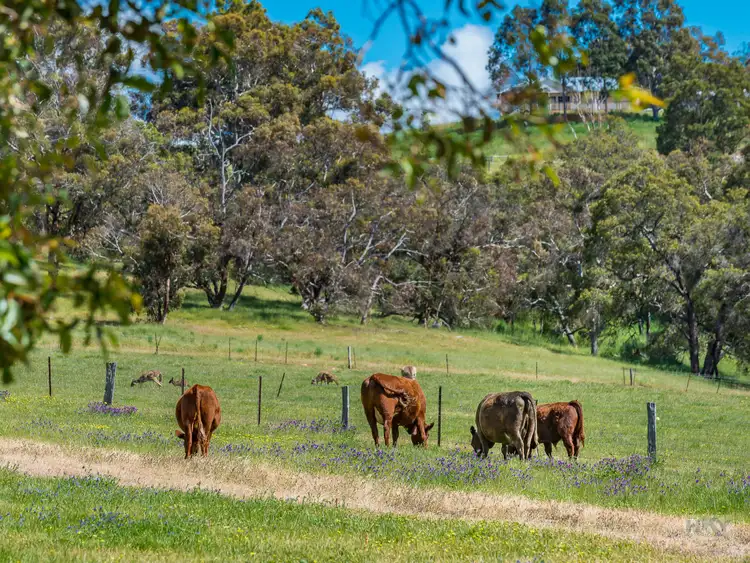 Seventh view of Homely land listing, 179 Clarkson Road, Bullsbrook WA 6084