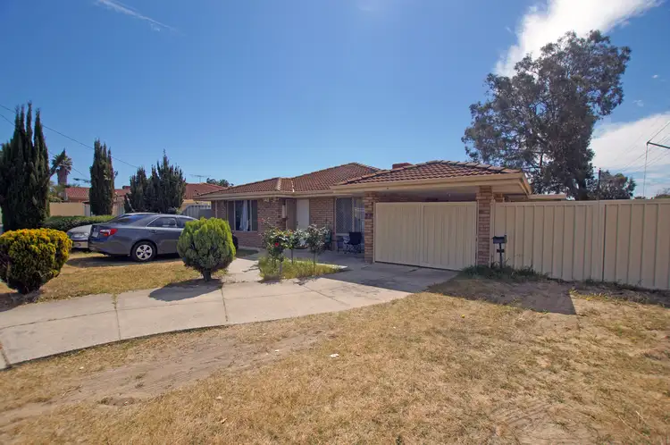 19 Gossamer Avenue, Mirrabooka WA 6061