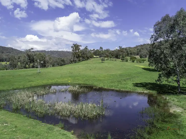 Fifth view of Homely rural property listing, 260 Cemetery Lane, King Valley VIC 3678