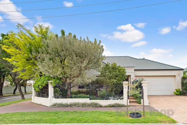 Main view of Homely house listing, 20 Laurel Avenue, Linden Park SA 5065