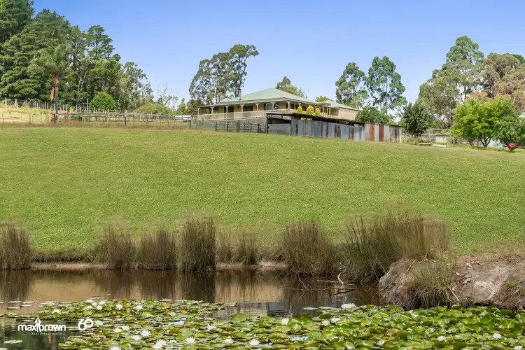 Main view of Homely house listing, 237 Warburton Highway, Wandin North VIC 3139
