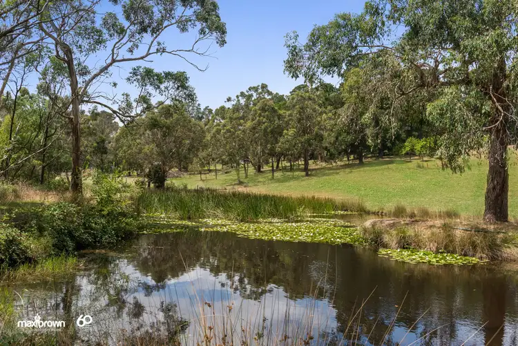 Fifth view of Homely house listing, 237 Warburton Highway, Wandin North VIC 3139