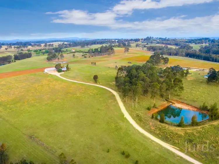 Seventh view of Homely rural property listing, 433 Hermitage Road, Pokolbin NSW 2320