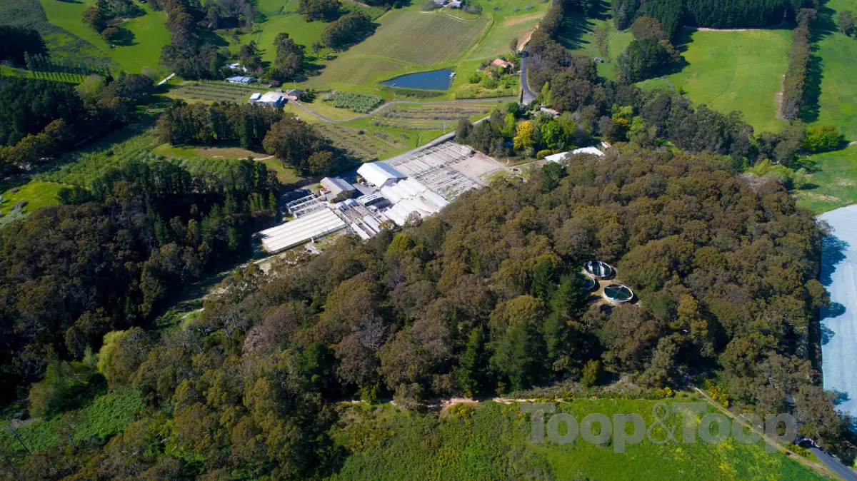 Main view of Homely house listing, 78 Nicols Road, Carey Gully SA 5144