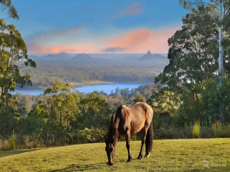 Second view of Homely rural property listing, 469 Old Caloundra Road, Glenview QLD 4553