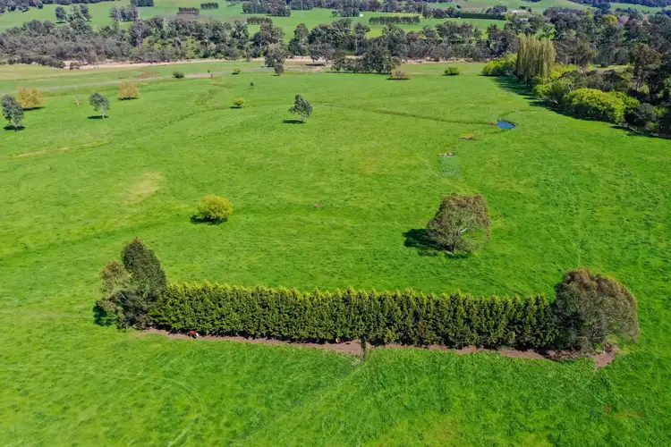 Sixth view of Homely rural property listing, 6731 Kiewa Valley Highway, Tawonga VIC 3697