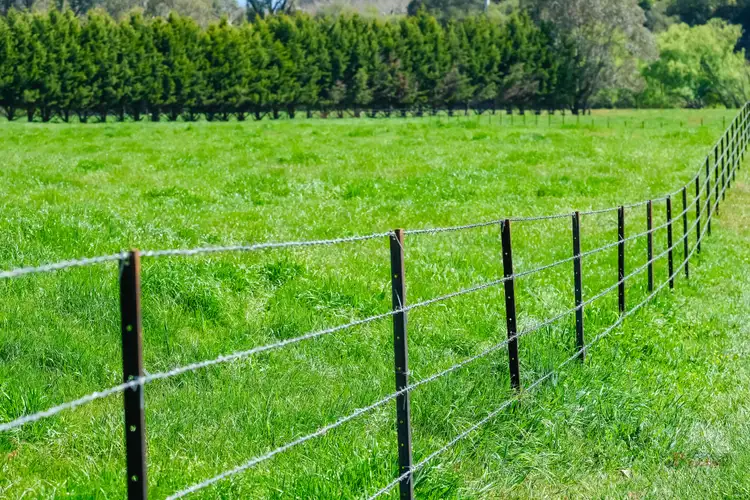 Seventh view of Homely rural property listing, 6731 Kiewa Valley Highway, Tawonga VIC 3697