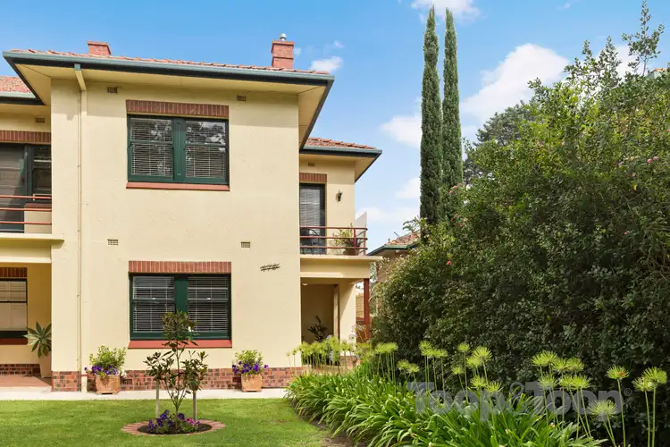 178 Goodwood Road, Millswood SA 5034