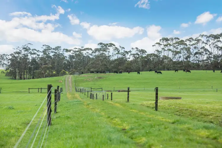 Fifth view of Homely rural property listing, 860 Colac - Lavers Hill Road, Barongarook West VIC 3249