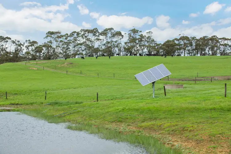 Sixth view of Homely rural property listing, 860 Colac - Lavers Hill Road, Barongarook West VIC 3249