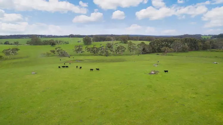750 Colac-Lavers Hill Road, Barongarook West VIC 3249