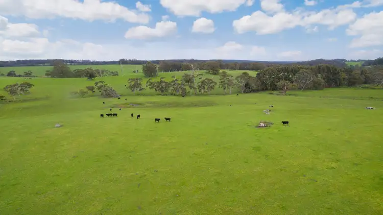750 Colac-Lavers Hill Road, Barongarook West VIC 3249