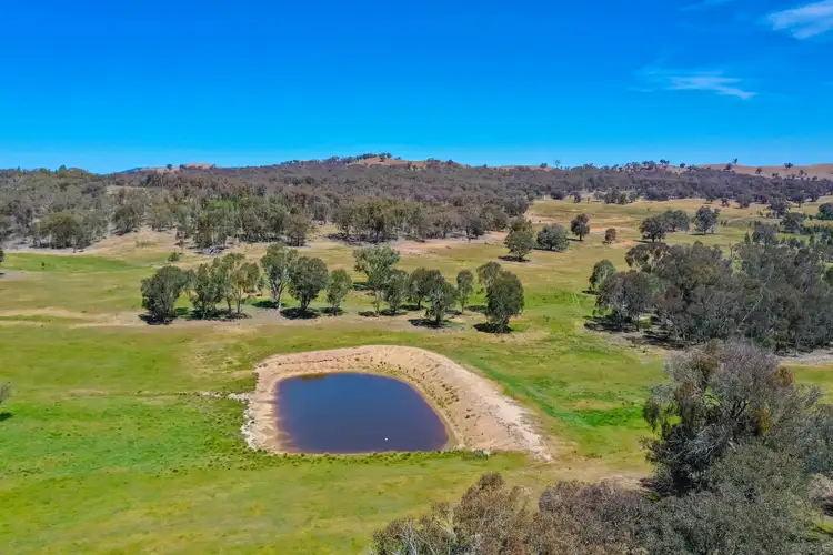 Seventh view of Homely rural property listing, 714 Stonehaven Road, Holbrook NSW 2644