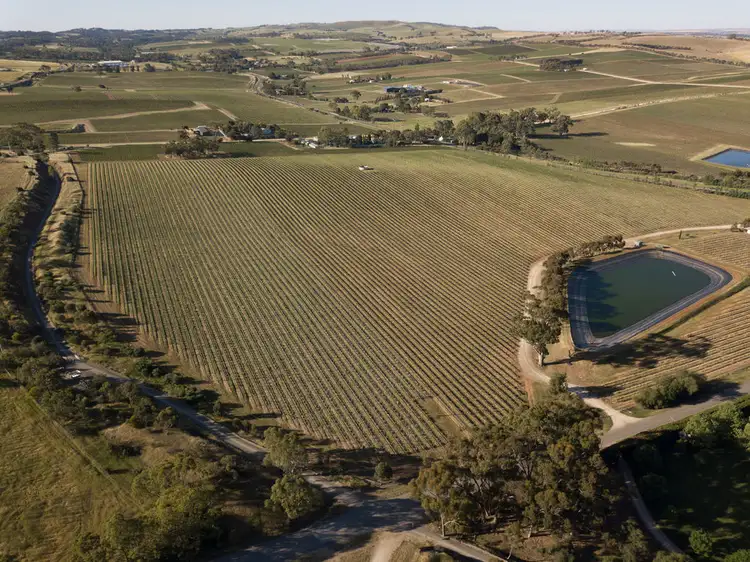 Second view of Homely rural property listing, Allotment 14 Horrocks Highway, Leasingham SA 5452