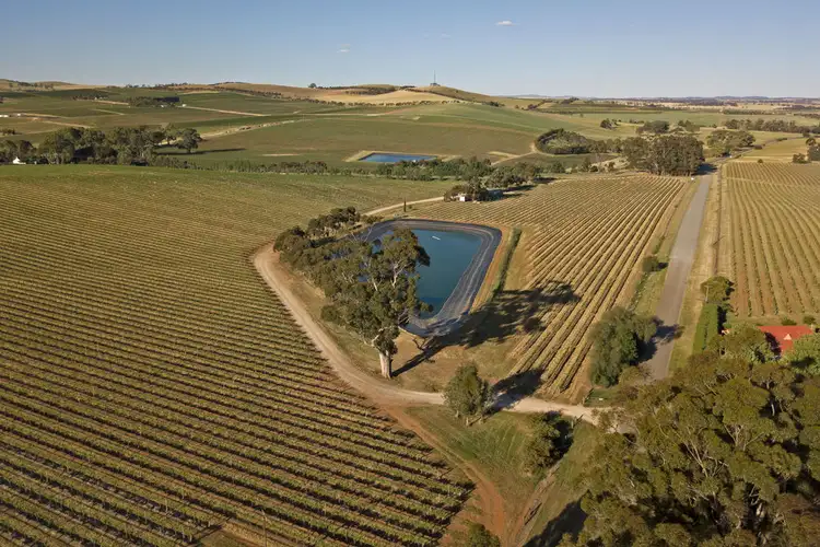 Fifth view of Homely rural property listing, Allotment 14 Horrocks Highway, Leasingham SA 5452