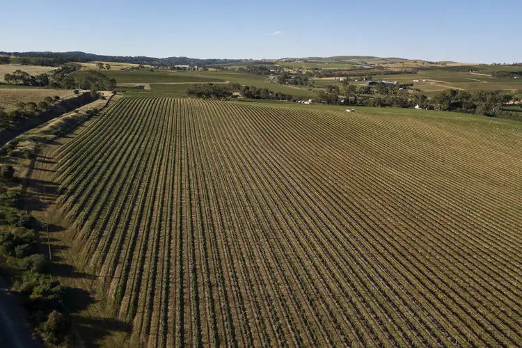 Sixth view of Homely rural property listing, Allotment 14 Horrocks Highway, Leasingham SA 5452