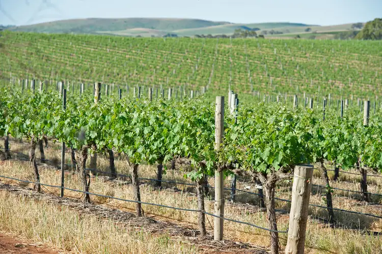 Seventh view of Homely rural property listing, Allotment 14 Horrocks Highway, Leasingham SA 5452