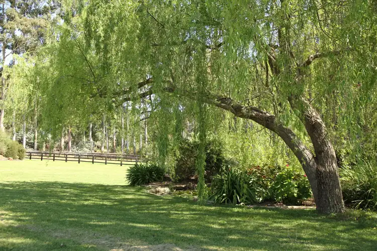 Second view of Homely house listing, 600 Albany Highway, Bedfordale WA 6112