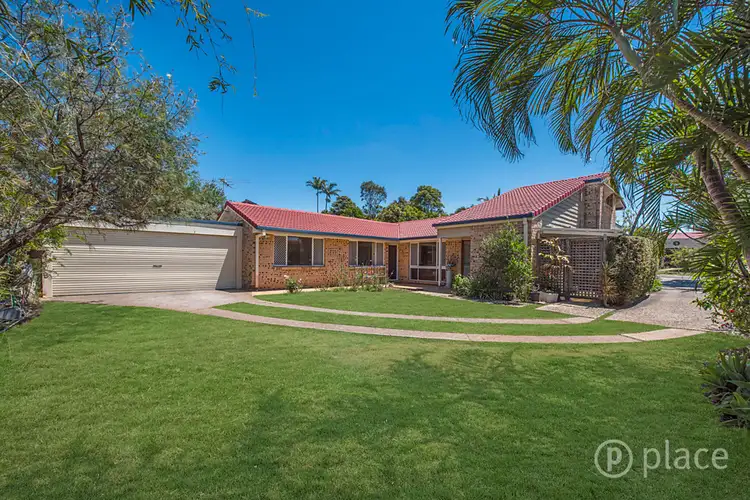 19 Pinecone Street, Sunnybank QLD 4109