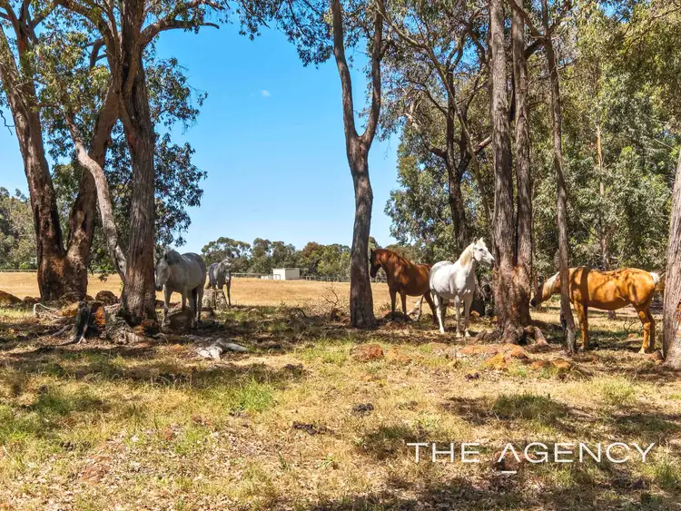 Second view of Homely house listing, 19 O'Brien Road, Gidgegannup WA 6083