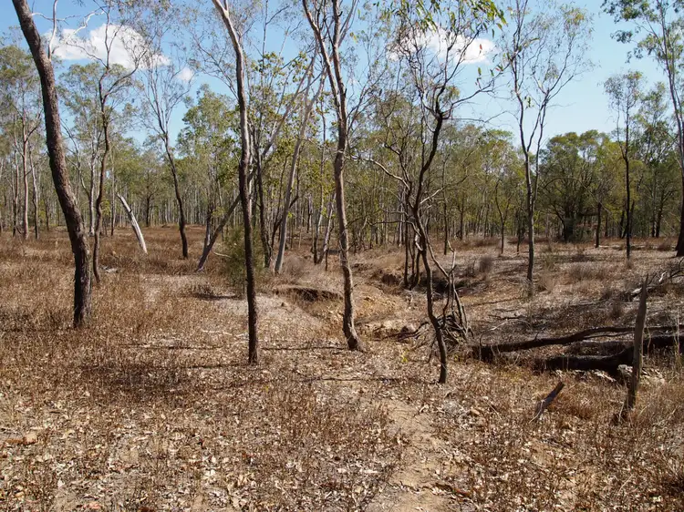 Fourth view of Homely rural property listing, 2 Milman Road, Milman QLD 4702