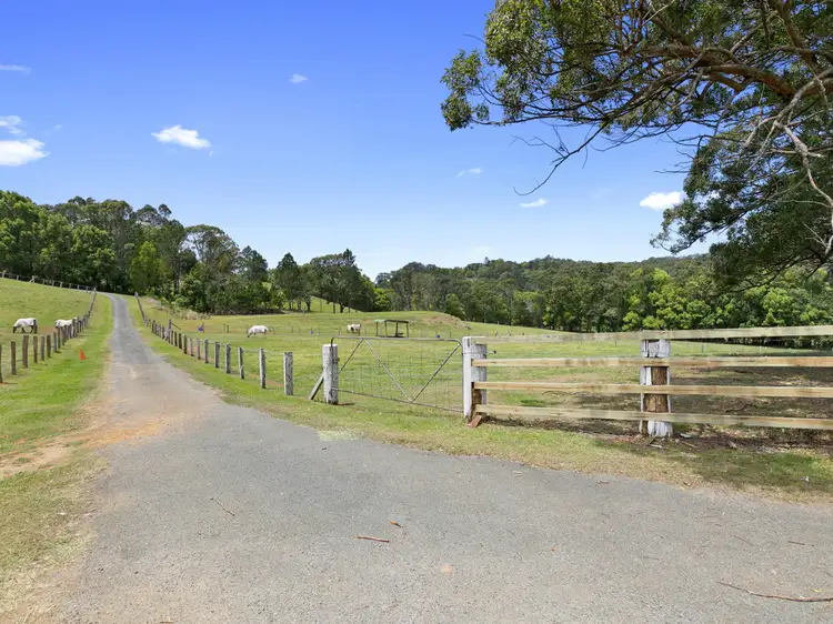 Third view of Homely rural property listing, 765 Cudgera Creek Road, Pottsville NSW 2489