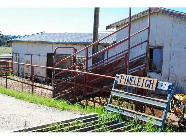 Second view of Homely rural property listing, 'Pineleigh' 93 Brooking Lane, Orange NSW 2800