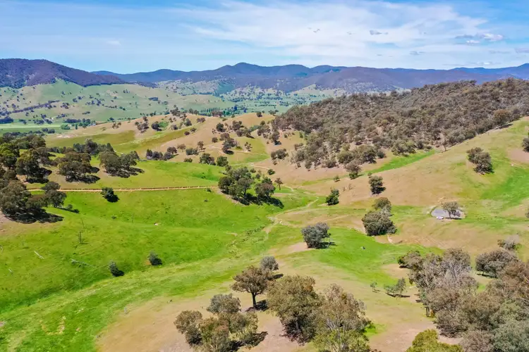Second view of Homely rural property listing, 356 Soldier Settlers Road, Tallangatta Valley VIC 3701