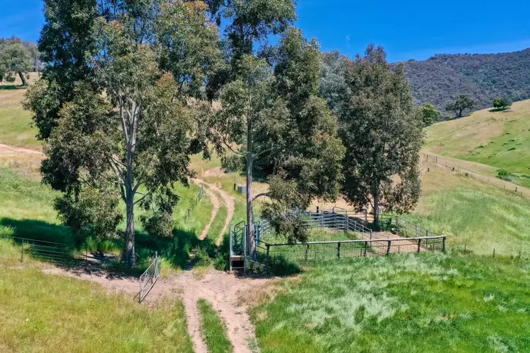 Fourth view of Homely rural property listing, 356 Soldier Settlers Road, Tallangatta Valley VIC 3701