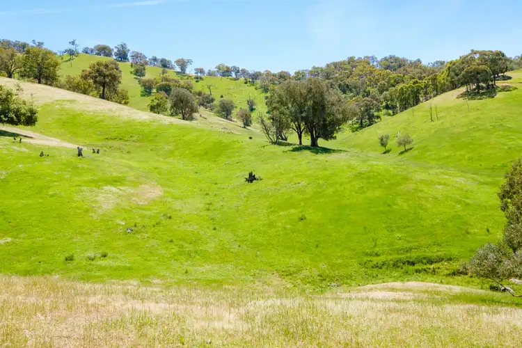 Fifth view of Homely rural property listing, 356 Soldier Settlers Road, Tallangatta Valley VIC 3701