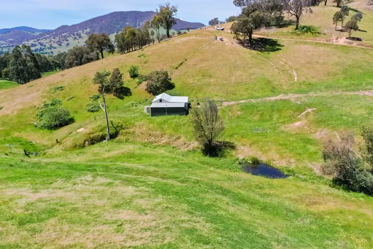 Seventh view of Homely rural property listing, 356 Soldier Settlers Road, Tallangatta Valley VIC 3701