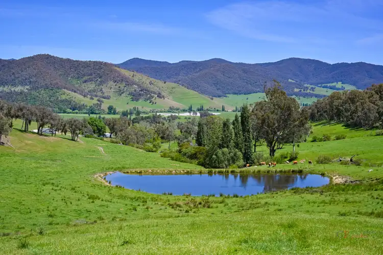 Second view of Homely rural property listing, 76 Klippels Lane, Nariel Valley VIC 3707