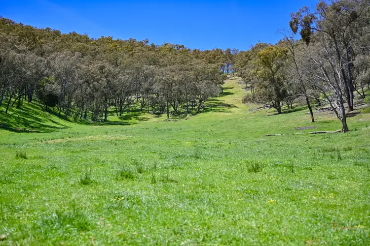 Sixth view of Homely rural property listing, 76 Klippels Lane, Nariel Valley VIC 3707