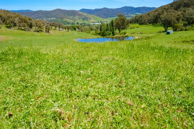 Seventh view of Homely rural property listing, 76 Klippels Lane, Nariel Valley VIC 3707