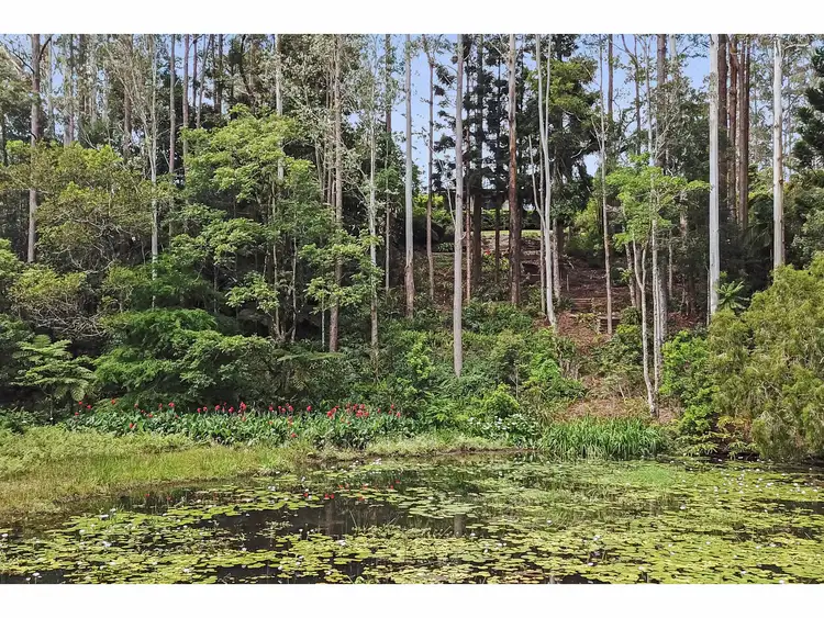 Sixth view of Homely house listing, 46 Gardners Lane, North Maleny QLD 4552