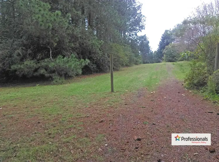Second view of Homely rural property listing, 5 Blacks Road, Arcadia NSW 2159