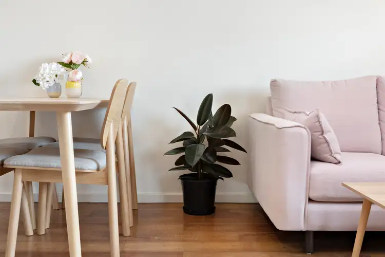 Fourth view of Homely apartment listing, 5/466 Glebe Road, Adamstown NSW 2289