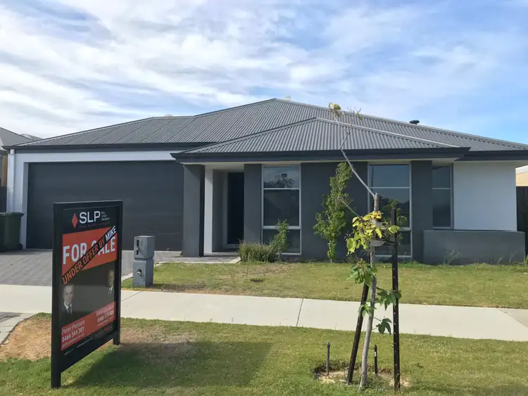 Main view of Homely house listing, 44 Fishbone Turn, Banksia Grove WA 6031