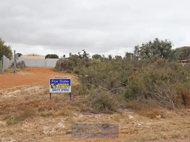 Seventh view of Homely rural property listing, Lot 128 Ralston Street, Condingup WA 6450