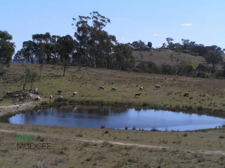 Sixth view of Homely rural property listing, LOT 1, "Killawarra" Wallawaugh Road, Mudgee NSW 2850