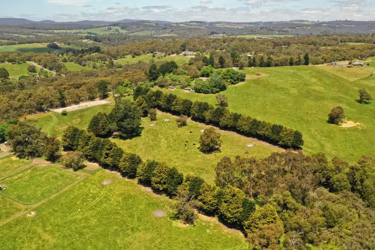 Third view of Homely land listing, 191 Spillers Road, Macclesfield VIC 3782