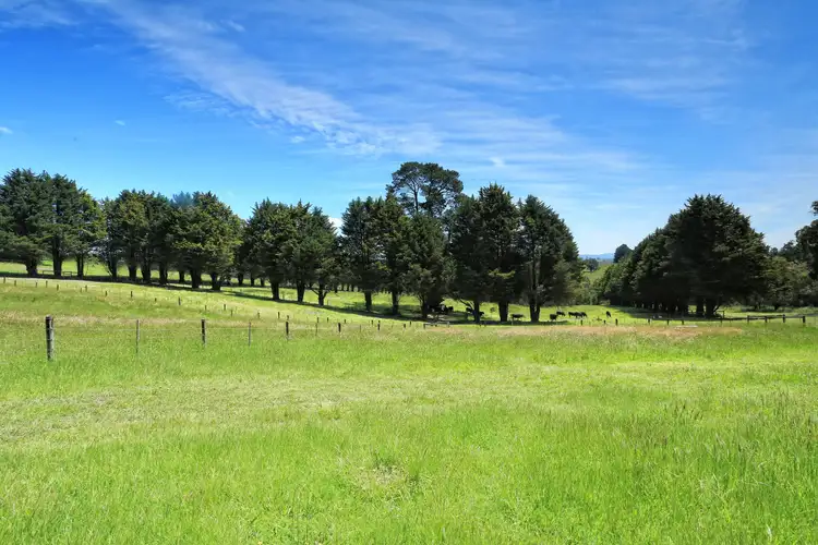 Seventh view of Homely land listing, 191 Spillers Road, Macclesfield VIC 3782