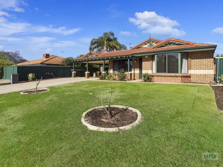 Main view of Homely house listing, 8 Carlsbad Court, Ballajura WA 6066