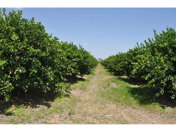 Sixth view of Homely rural property listing, LOT 5, 106 Wright Road, Mareeba QLD 4880